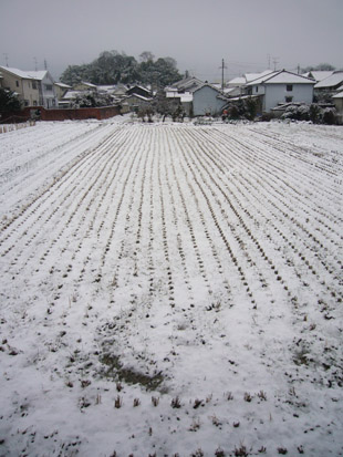 2008 02 03 002_1.jpg