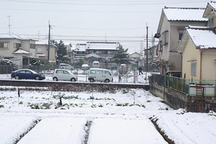 2008 02 09 006_1.jpg