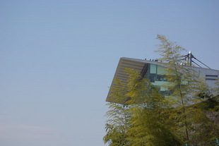 2008 03 16 083_1.jpg