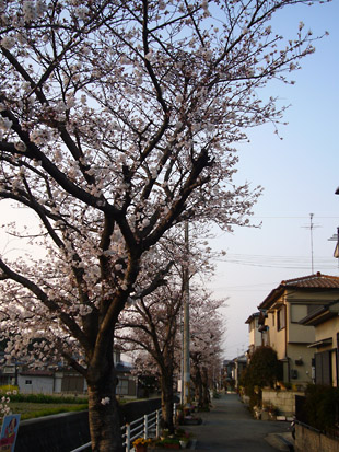 2008 03 29 002_1.jpg