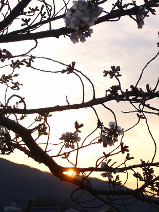2008 03 29 005_11.jpg