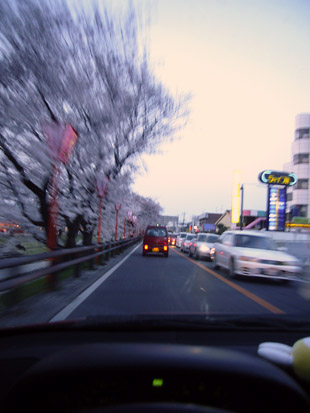 2008 03 29 017_1.jpg