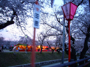 2008 03 29 018_1.jpg