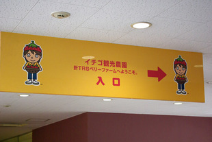 2008 05 31 001_1.jpg