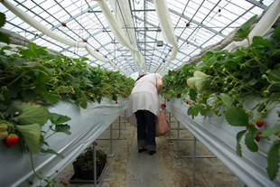 2008 05 31 025_1.jpg