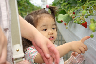 2008 05 31 033_1.jpg