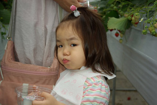 2008 05 31 037_1.jpg