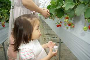 2008 05 31 0391.jpg