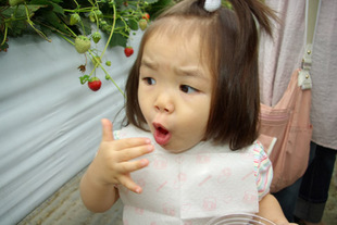 2008 05 31 043_1.jpg