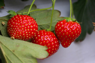 2008 05 31 059_1.jpg