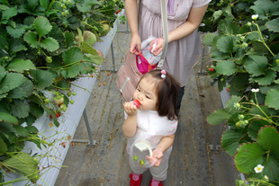 2008 05 31 063_1.jpg