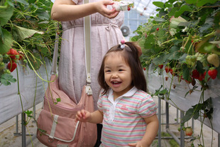 2008 05 31 094_1.jpg