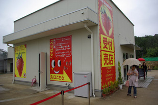 2008 05 31 134_1.jpg