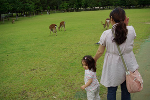 2008 05 31 193_1.jpg