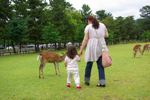 2008 05 31 195_1.jpg