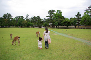 2008 05 31 199_1.jpg