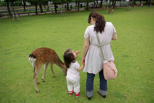 2008 05 31 204_1.jpg