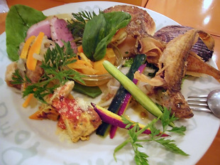2008 06 15 021_1.jpg