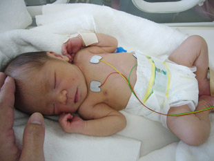 2008 08 15 008_1.jpg