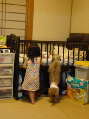 2008 09 06 008_1.jpg