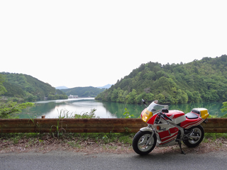 DSC00615-3.jpg