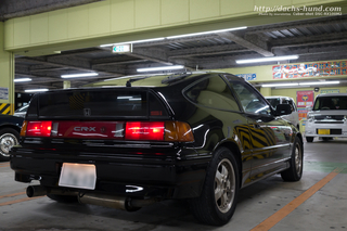 DSC01711-31.jpg