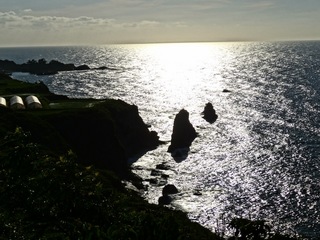 DSC01877.JPG