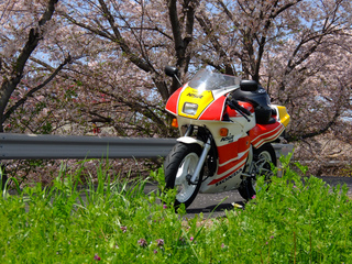 DSCF1697.jpg