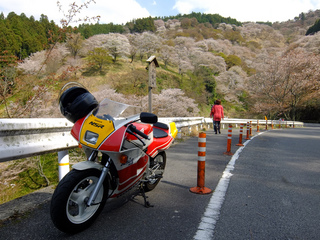 DSCF1710.jpg