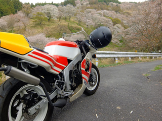 DSCF1747.jpg
