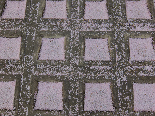 DSCF1760.jpg