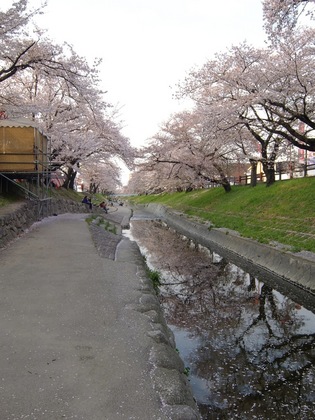 DSCF1787.jpg