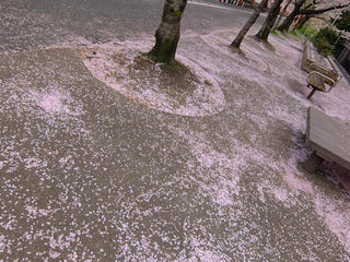 DSCF1814.jpg