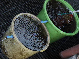 DSCF2430.jpg