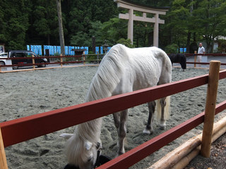 DSCF2446.jpg