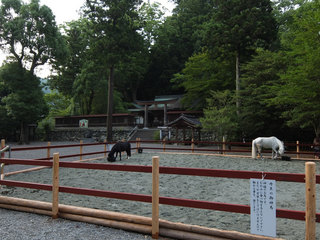 DSCF2450.jpg