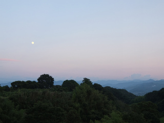 DSCF2455.jpg