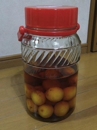 DSCF2470.jpg