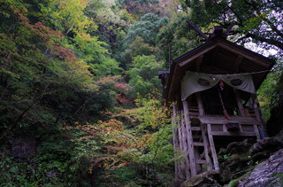 IMGP0238.JPG
