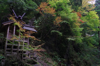 IMGP0245.JPG