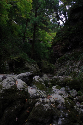 IMGP0267.JPG