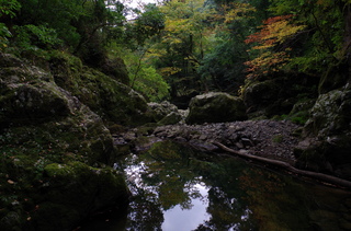 IMGP0280.JPG