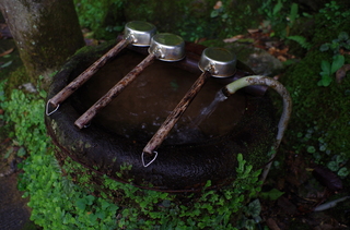 IMGP0281.JPG