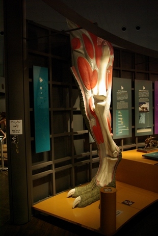 IMGP0286_1.jpg