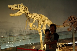 IMGP0302_1.jpg