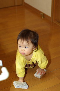 IMGP0841_1.jpg