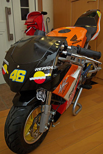 IMGP0973_1.jpg