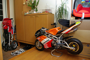 IMGP0980_1.jpg