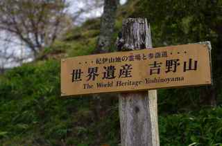 IMGP1010.jpg