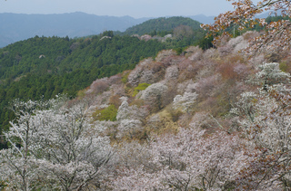 IMGP1014.jpg